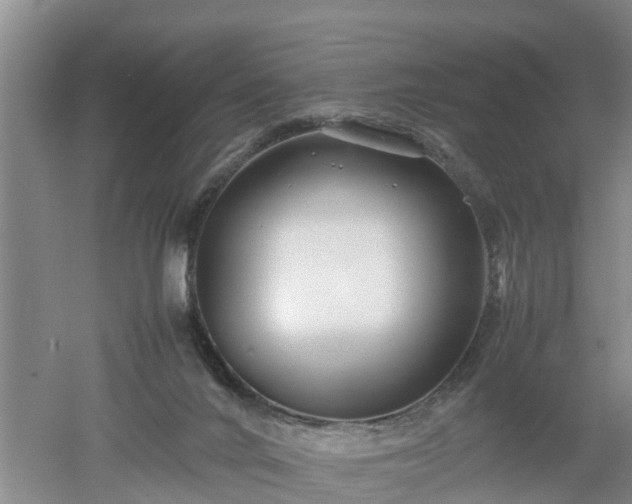 X0000053010024200507151959