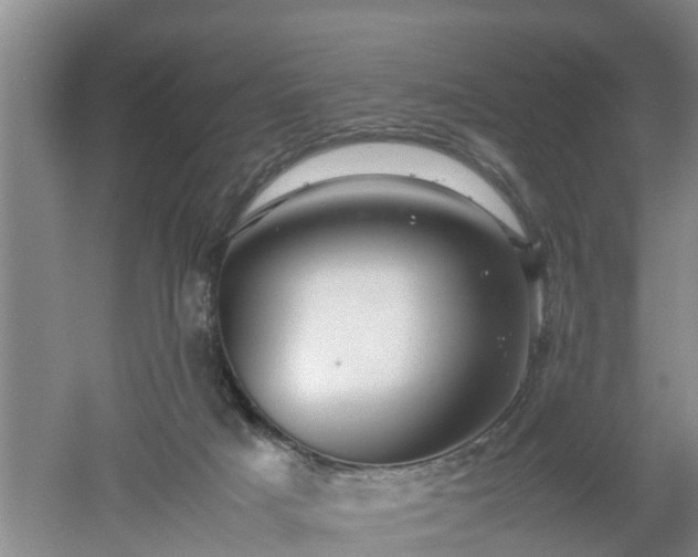 X0000053010025200507151959