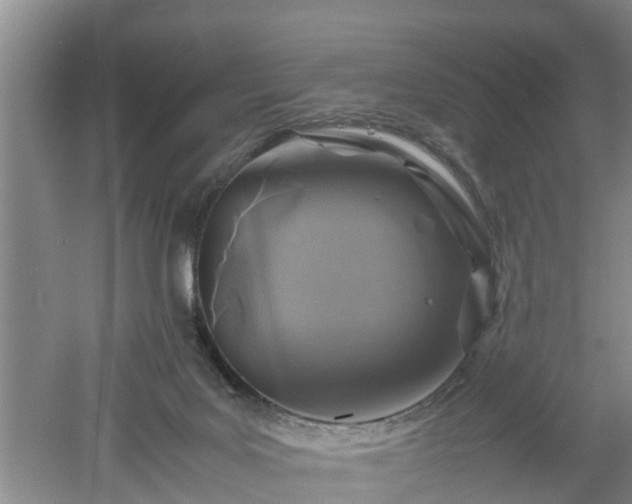 X0000053010027200507151959