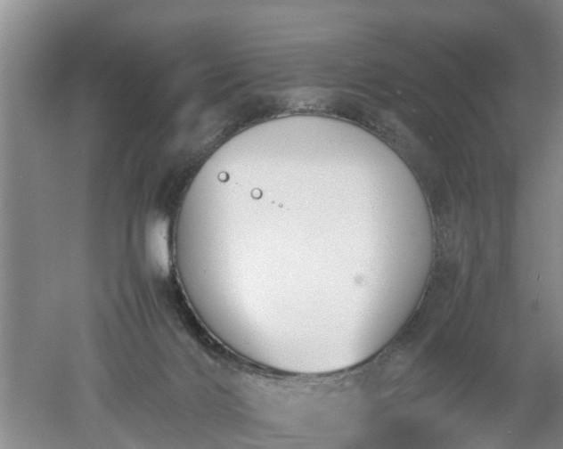 X0000053010028200507151959