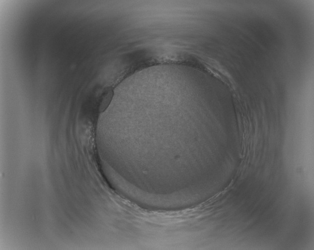 X0000053010029200507151959