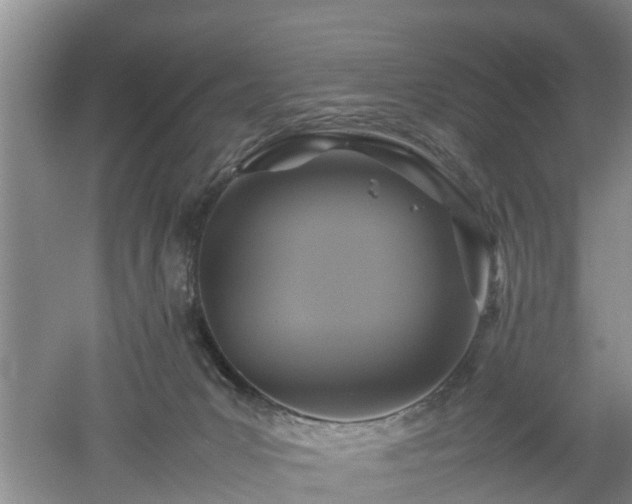 X0000053010031200507151959