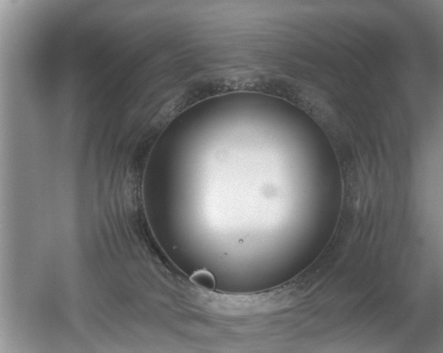 X0000053010034200507151959