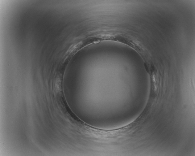 X0000053010035200507151959