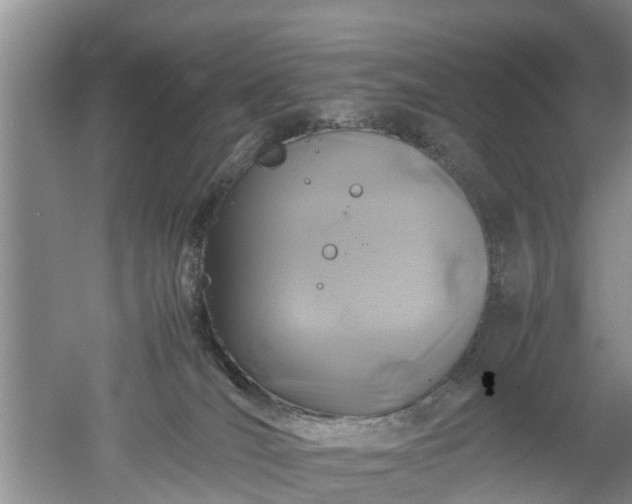 X0000053010036200507151959