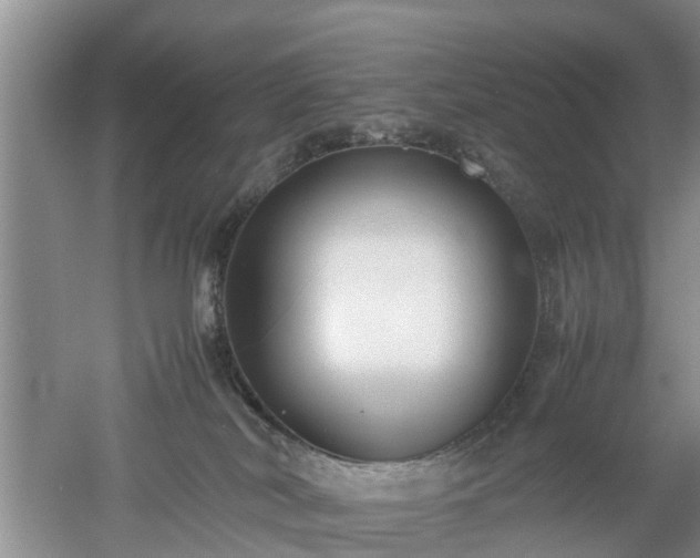 X0000053010038200507151959