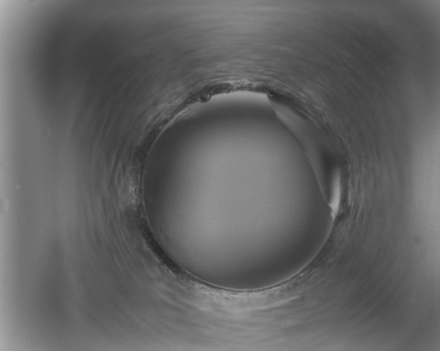 X0000053010039200507151959