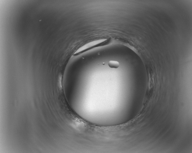 X0000053010041200507151959