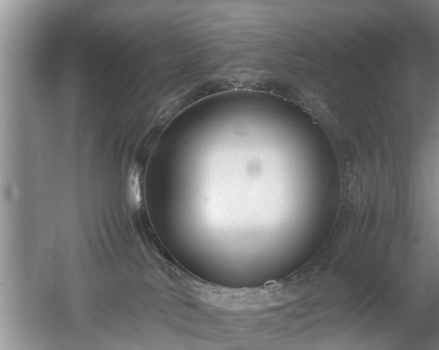 X0000053010042200507151959