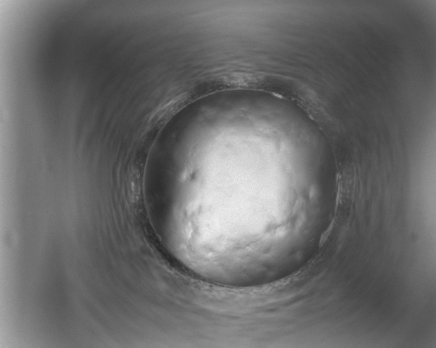 X0000053010043200507151959