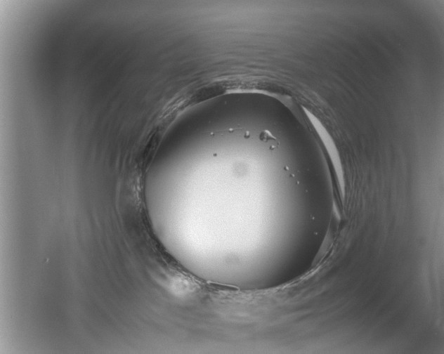 X0000053010045200507151959