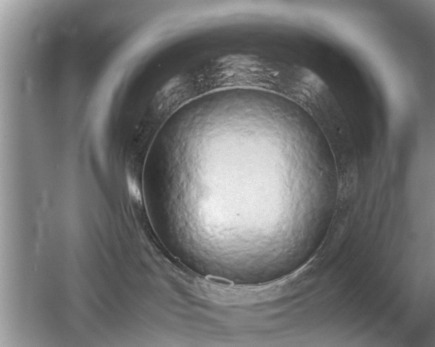 X0000053010047200507151959