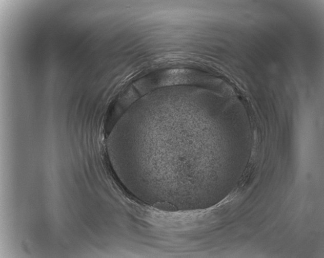 X0000053010048200507151959