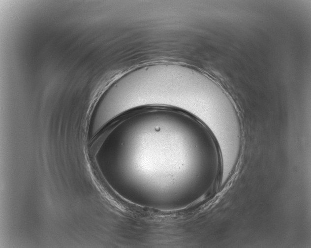 X0000053010049200507151958