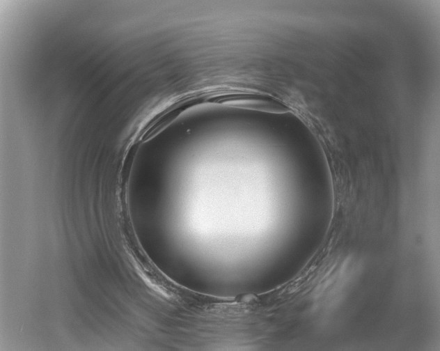 X0000053010050200507151958