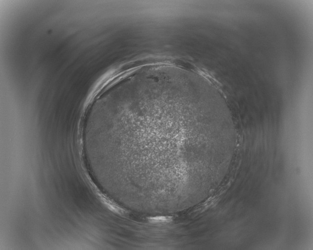 X0000053010053200507151958