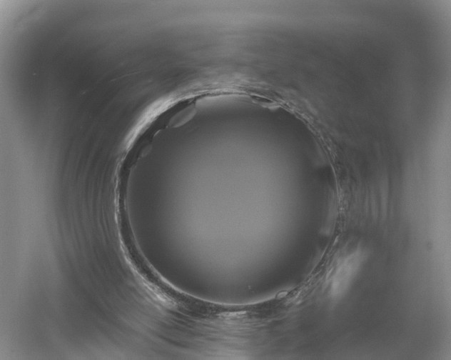 X0000053010054200507151958