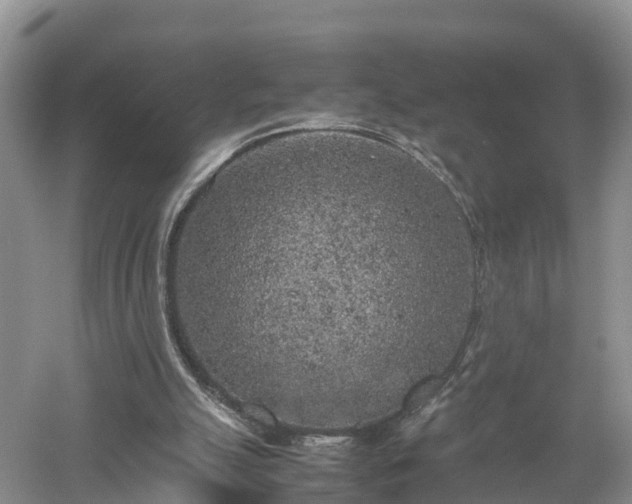 X0000053010055200507151958