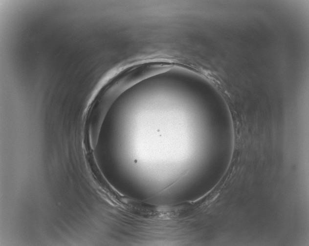 X0000053010056200507151958