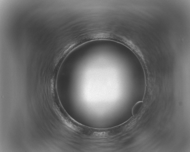 X0000053010057200507151958