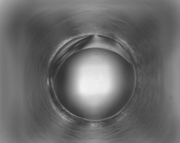 X0000053010060200507151958