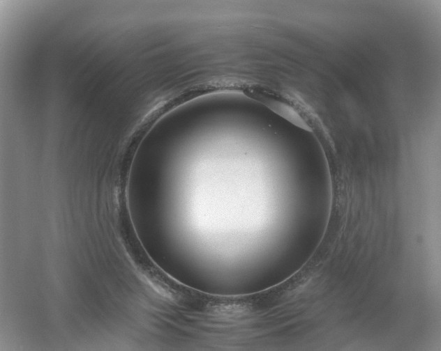 X0000053010063200507151958