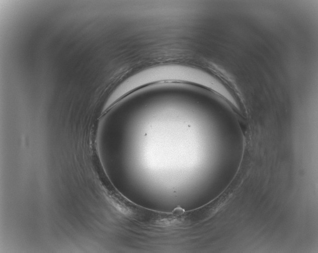 X0000053010065200507151958