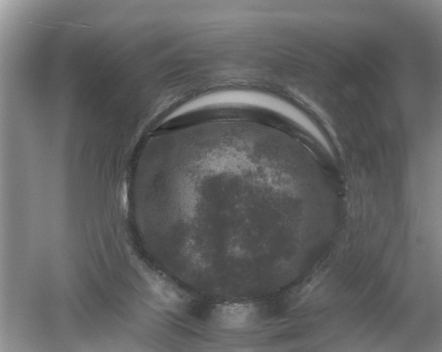 X0000053010067200507151958