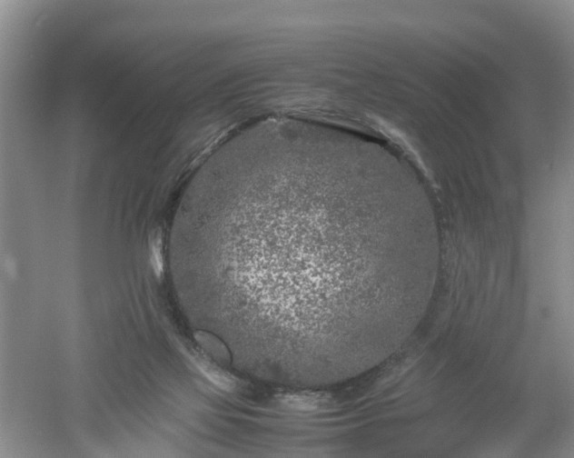 X0000053010069200507151958