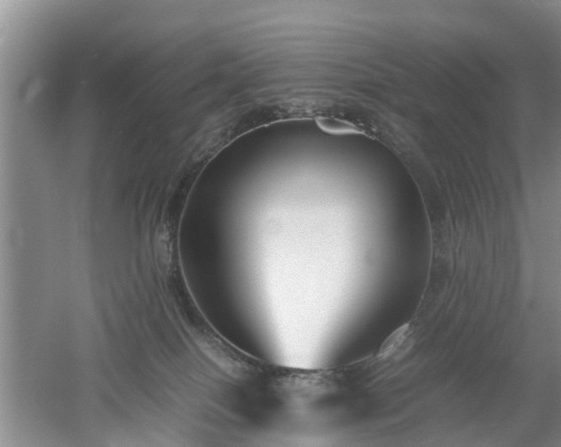 X0000053010086200507151959