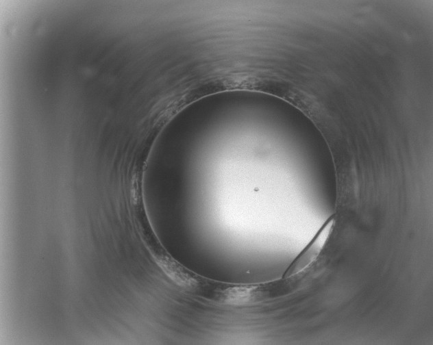 X0000053010090200507151959