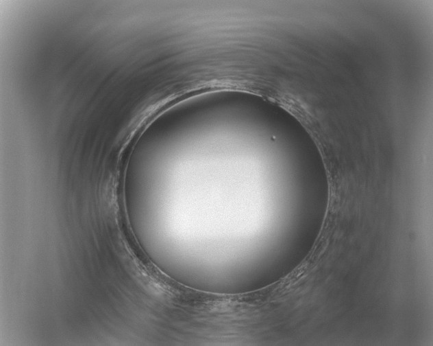 X0000053010098200507151958