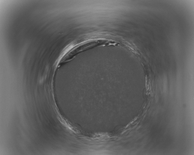 X0000053010099200507151958