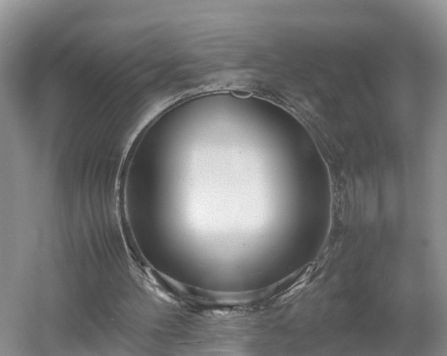 X0000053010100200507151958