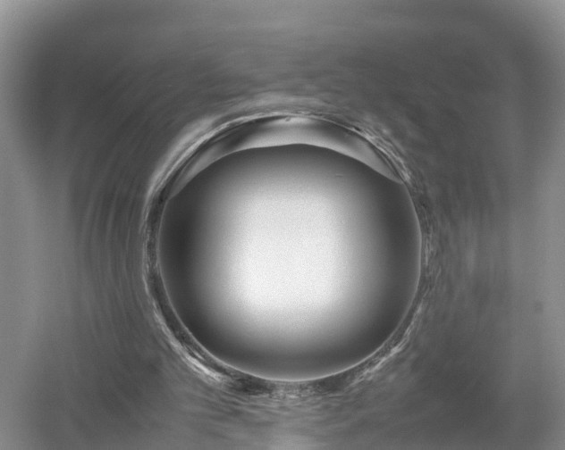 X0000053010101200507151958