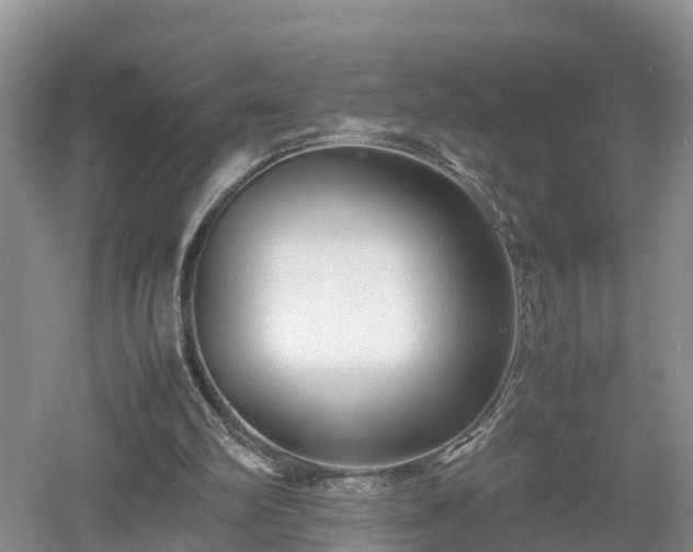 X0000053010102200507151958