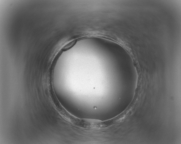 X0000053010103200507151958