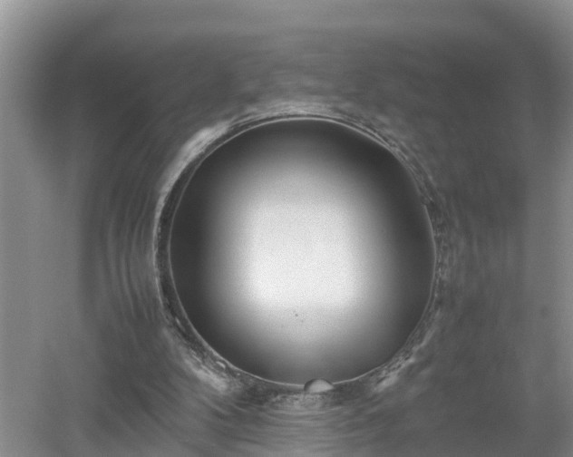 X0000053010104200507151958