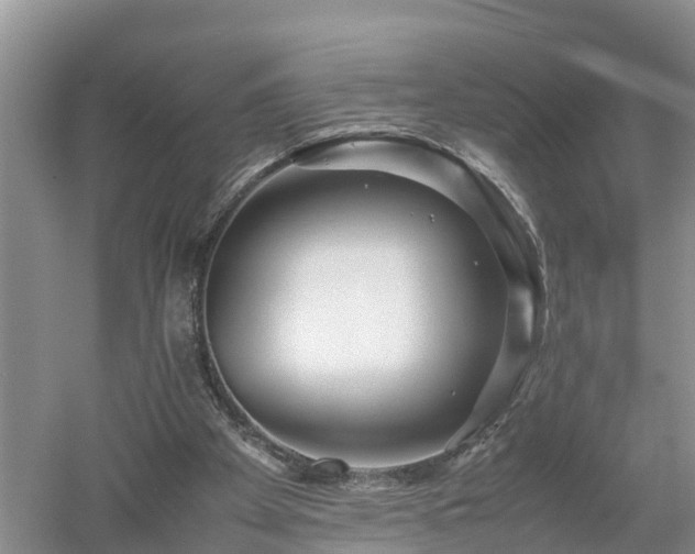 X0000053010105200507151958