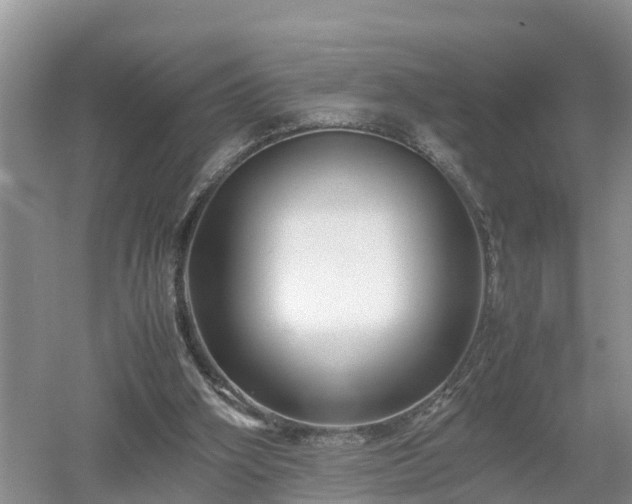 X0000053010106200507151958