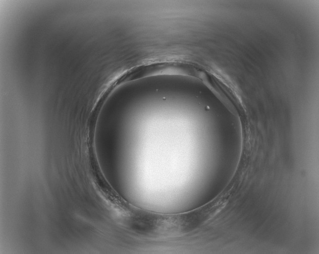 X0000053010107200507151958