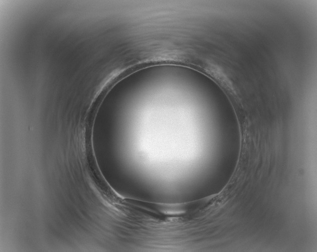 X0000053010108200507151958