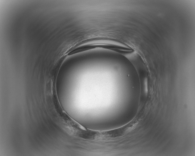 X0000053010109200507151958