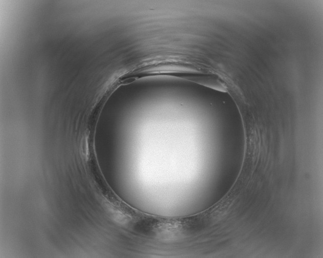 X0000053010110200507151958