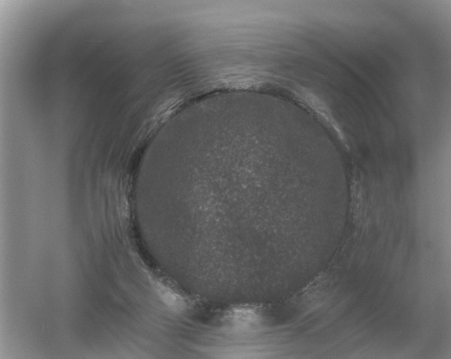 X0000053010114200507151958