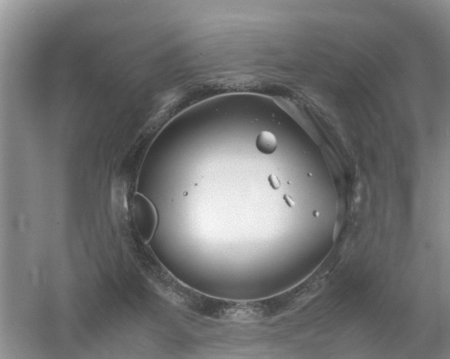 X0000053010115200507151958