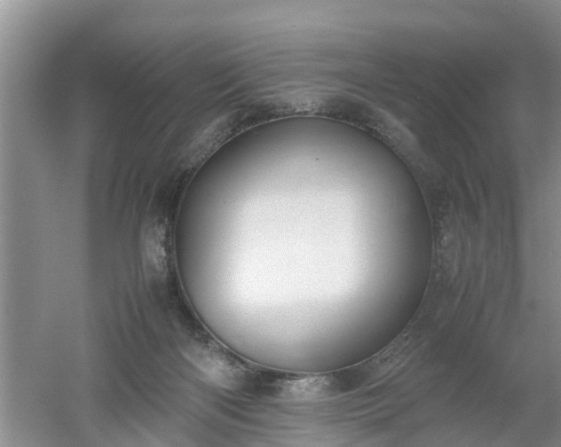 X0000053010122200507151958