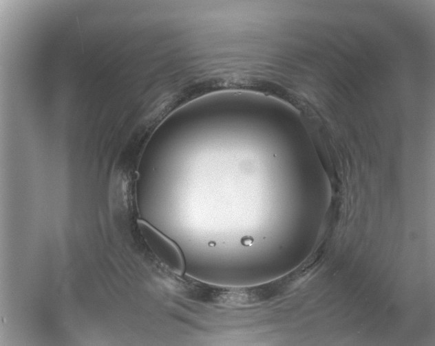 X0000053010123200507151958