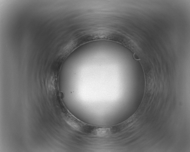 X0000053010126200507151958