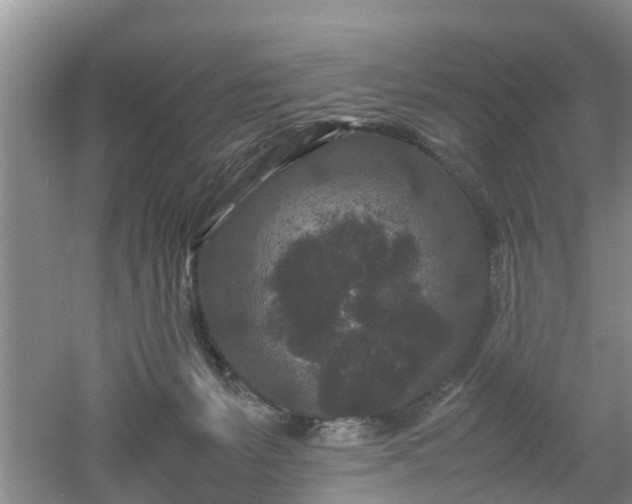 X0000053010127200507151958